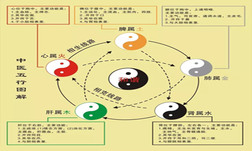 【面相基础】为什么齿骨坚硬、髓脑精华五行属肾水呢？,易经网推荐面相